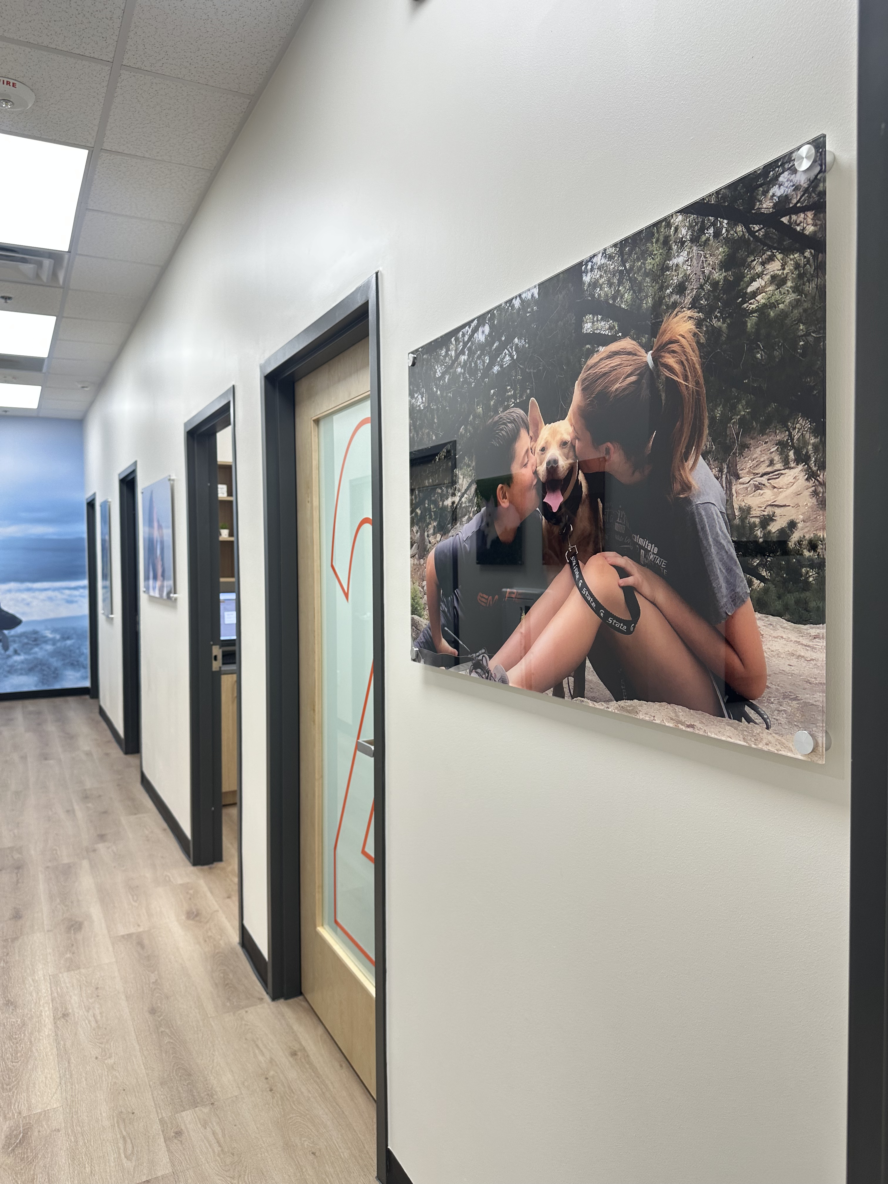 CityVet | Spring Image