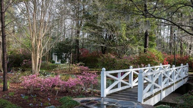 Images avid hotel Summerville by IHG