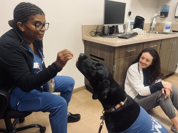 Images VCA West Los Angeles Animal Hospital