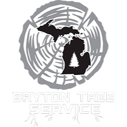 Bryton Tree Service Logo