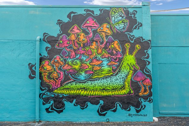 mellow mushroom mural