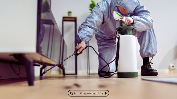 Images Pest Control Los Angeles