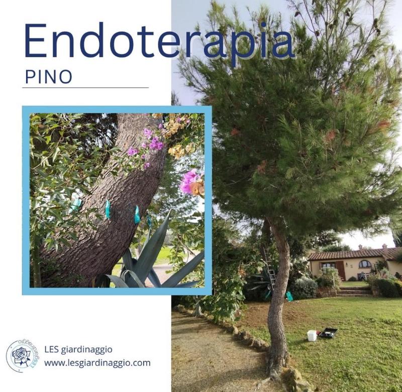 Images Les Giardinaggio