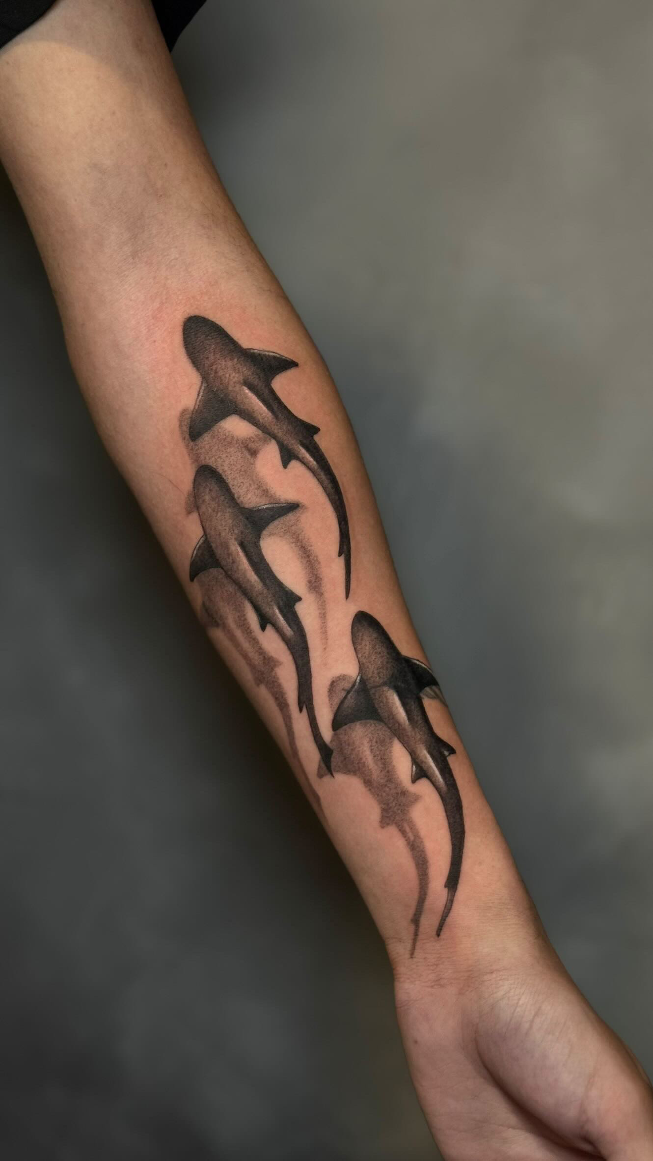 Wild Tattoo Fantasy, Eschersheimer Landstraße 539 in Frankfurt am Main