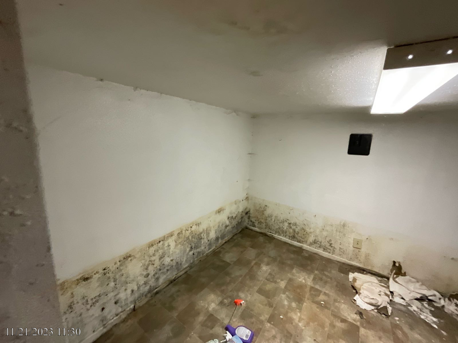 Mold Damage