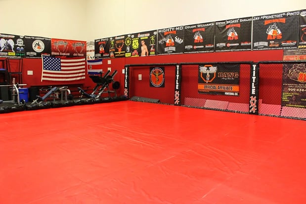 Images Aguirre's Fighting System