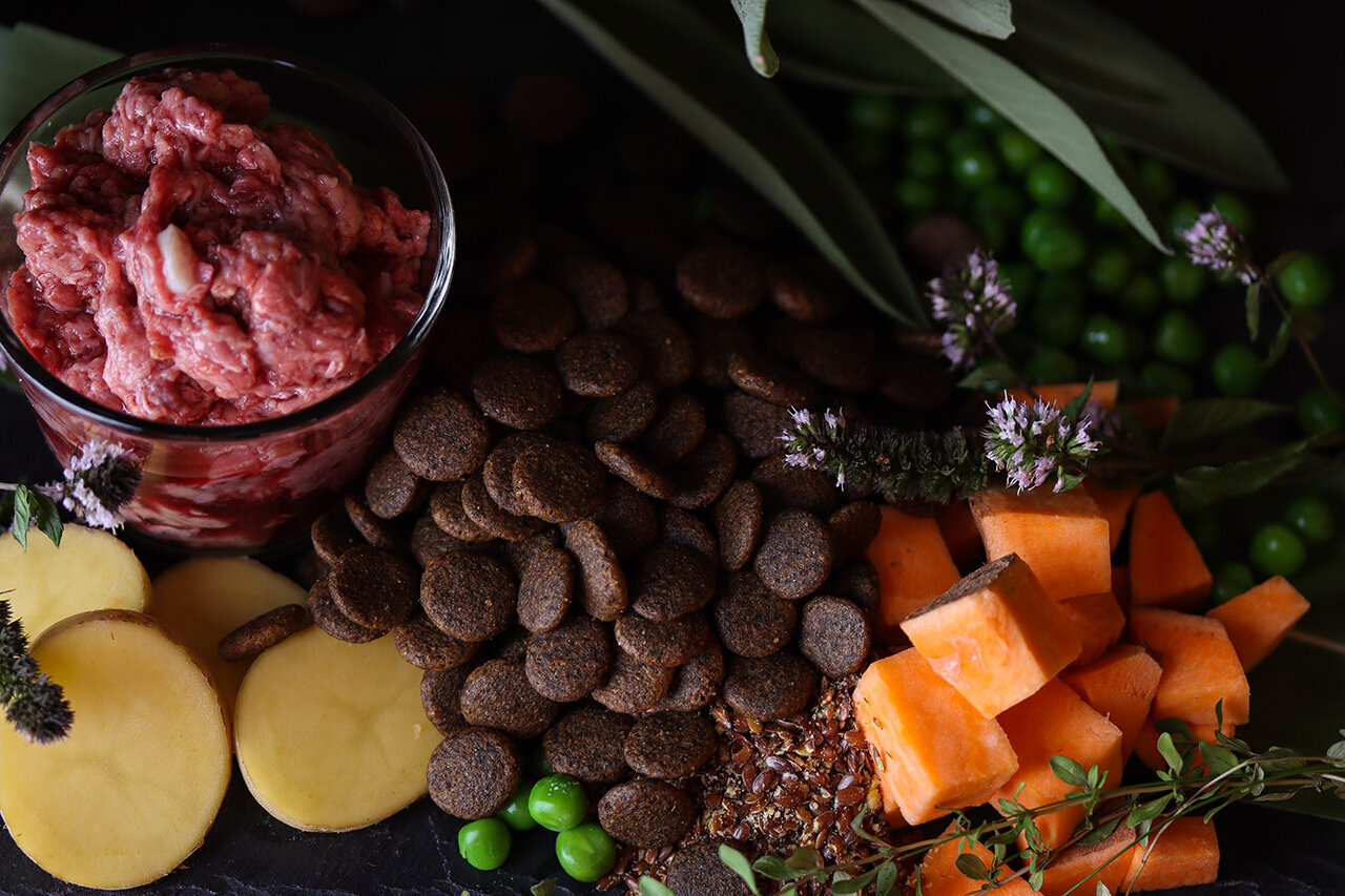 Bilder Green Pet Shop