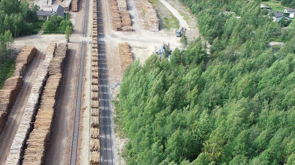 Images Suomen MetsätKuntoon