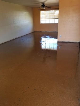 Images Valley Concrete Coatings and Polishing