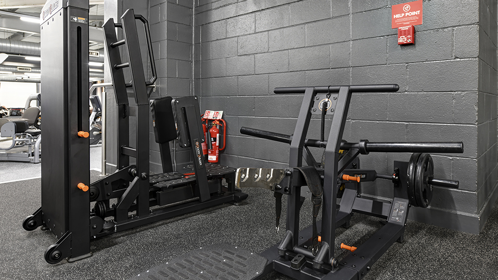 Glutes Area