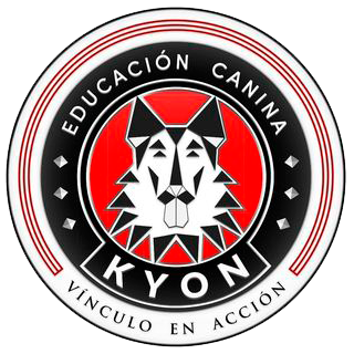 Images Mundo Kyon