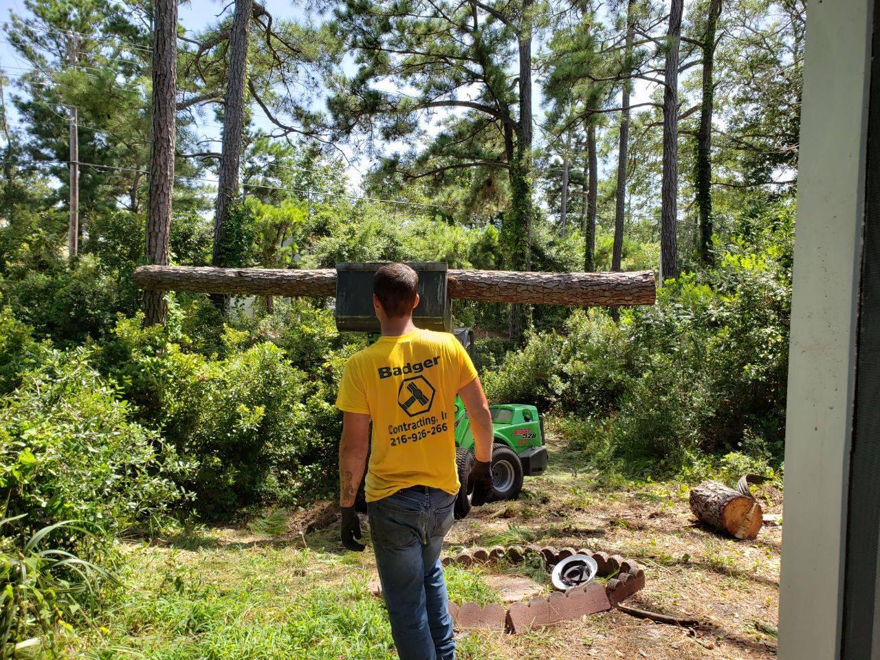Badger Tree Service Logo