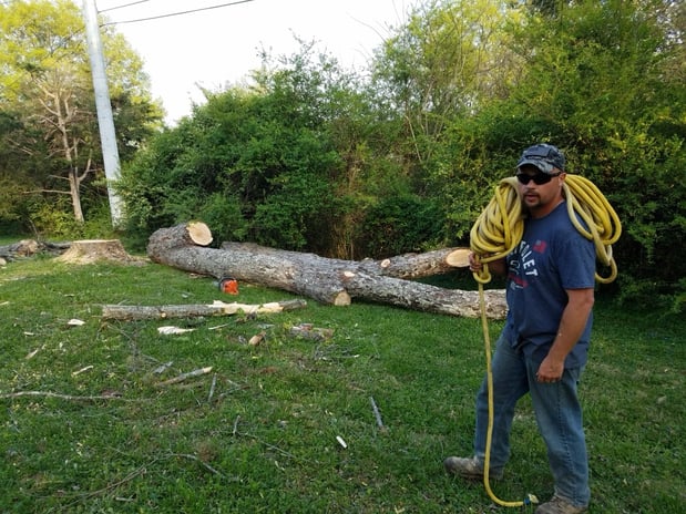 Images Victory One Tree Service & Stump Grinding