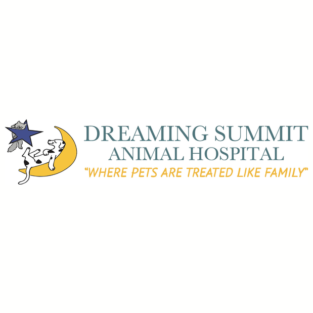 Dreaming Summit Animal Hospital Logo