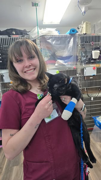 Images VCA Wingate Animal Hospital