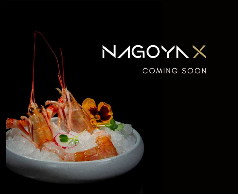 Nagoya X Sushi - Castegnato