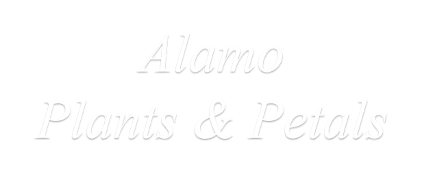 Images Alamo Plants & Petals