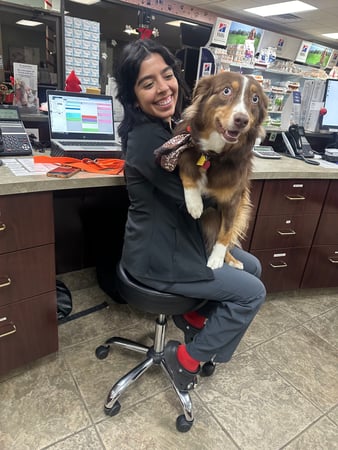 Images VCA All Pet Animal Hospital/Taylorsville
