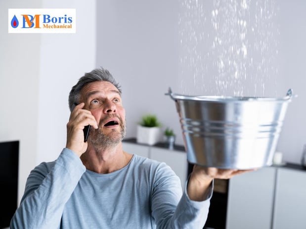 Images Boris Mechanical