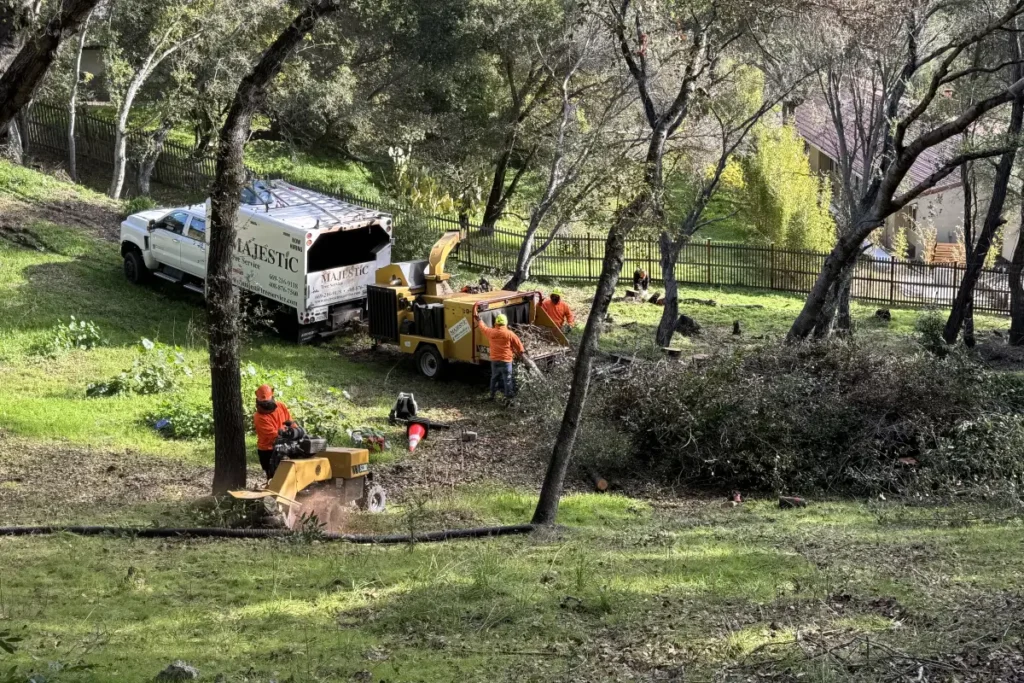 Majestic Tree Service