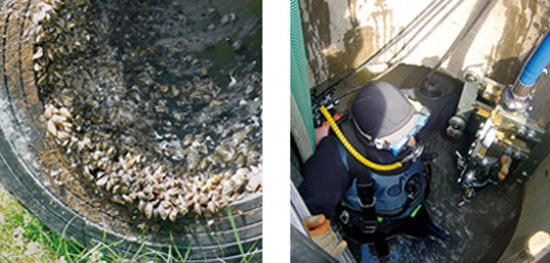 Peter AG Kanalreinigung, Pfrundmatte 3 in Neuenkirch