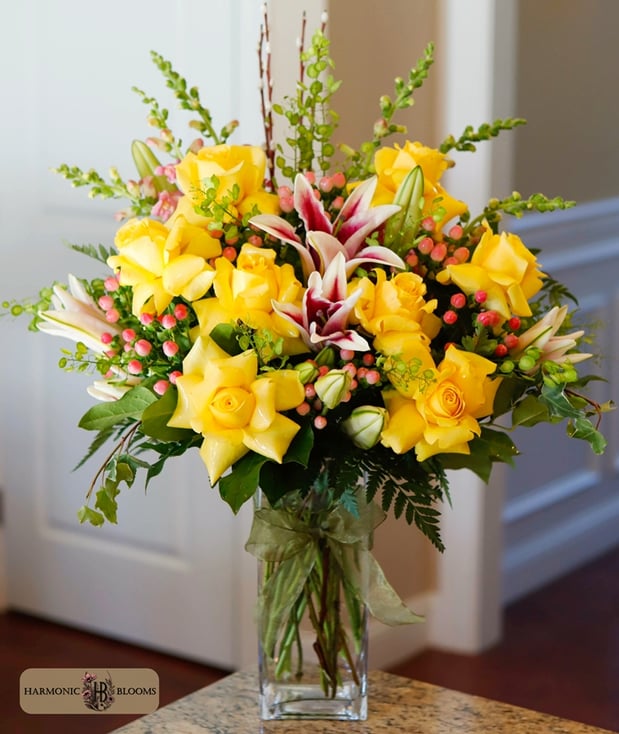 Images Harmonic Blooms