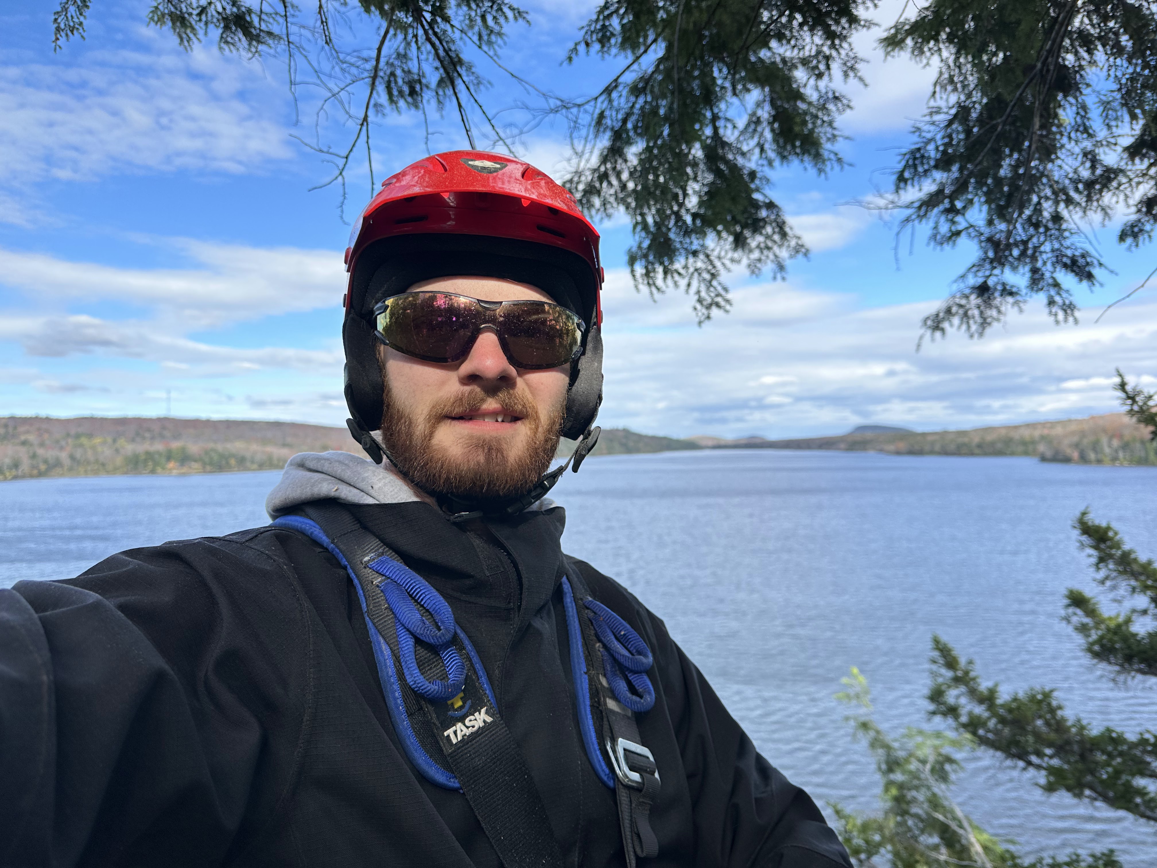 Images Altitude Abattage - Services d'arbres, Élagage, Émondage