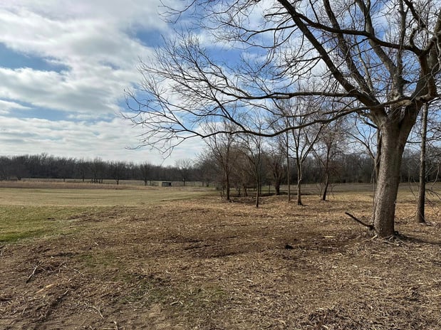 Images RED'S Forestry Mulching