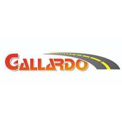 Transportes Especiales Gallardo Logo