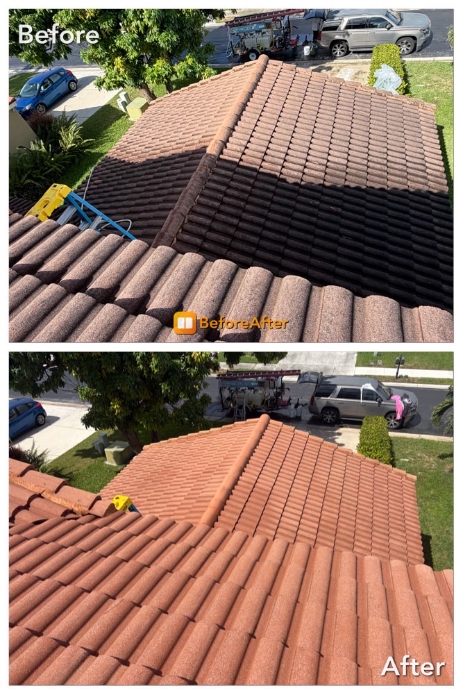 Soft Touch Power Wash