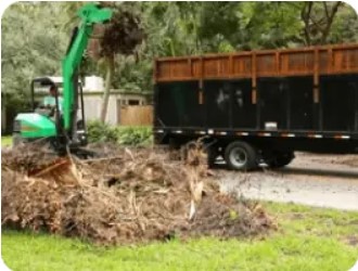 Yard Cleanup Services