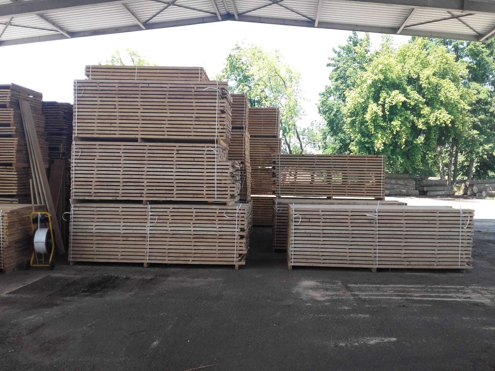 Images Maesmi Maderas