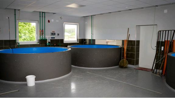 Fischzucht Sindel, Unterahorn 19 in Feuchtwangen