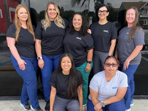 Images VCA Orange Animal Hospital