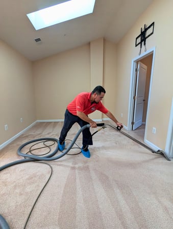 Images Ayoub Carpet Service®