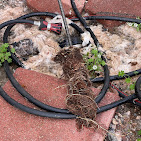 North Brothers Plumbing Image