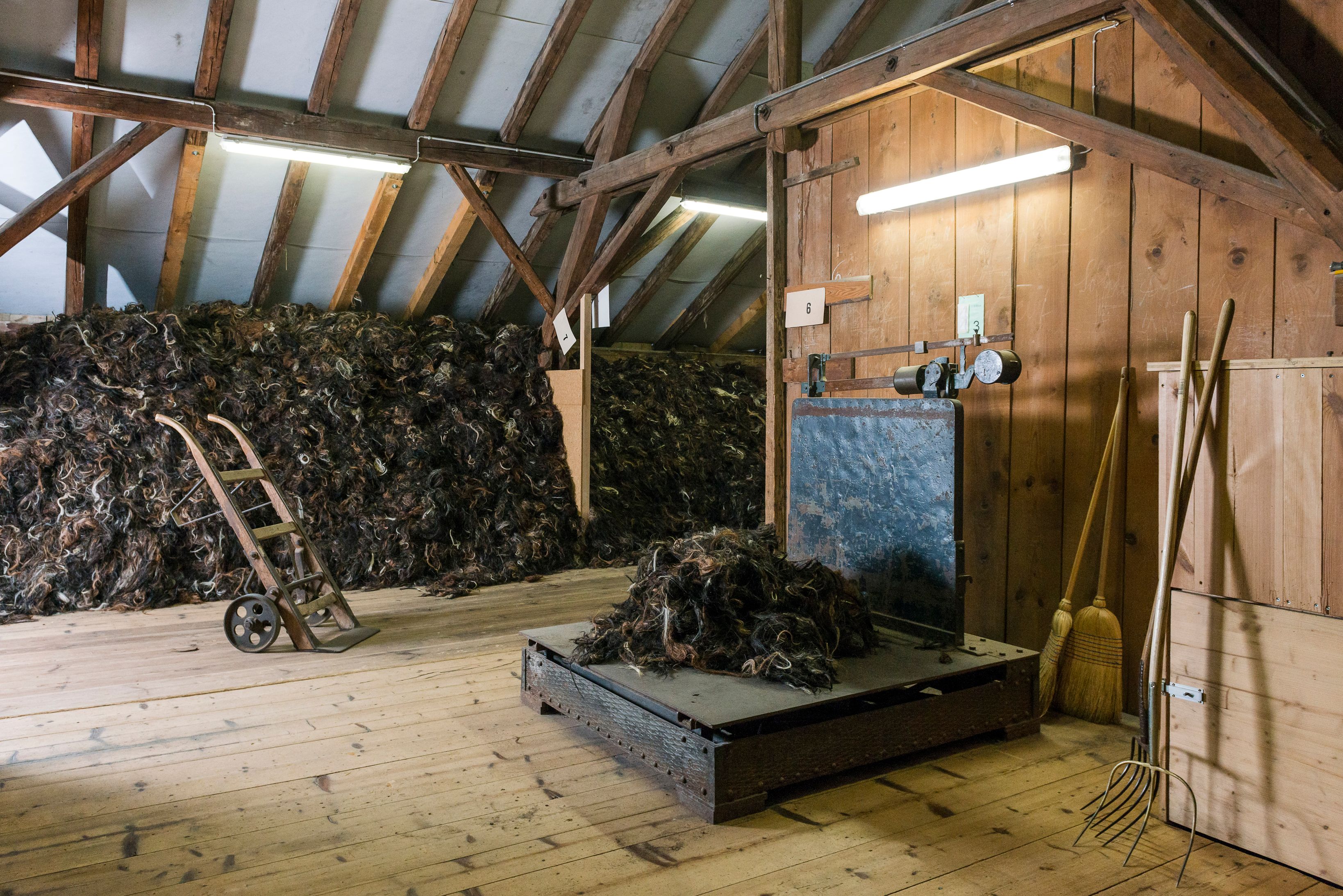 Bilder Toggenburger & Co AG