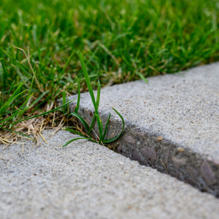 Images A-1 Concrete Leveling North