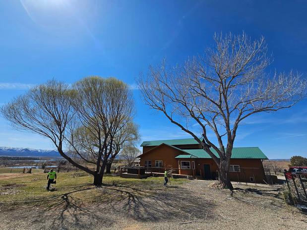 Images H & S Tree Care