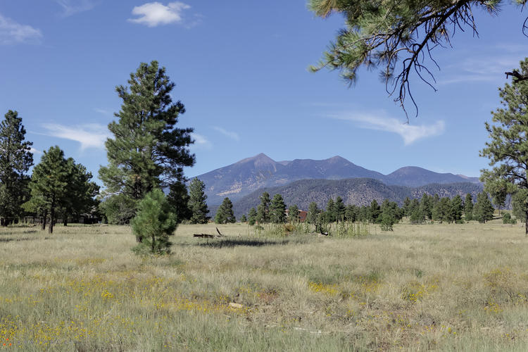 Ponderosa Park Apartments, 1201 E Ponderosa Pkwy, Flagstaff, AZ ...