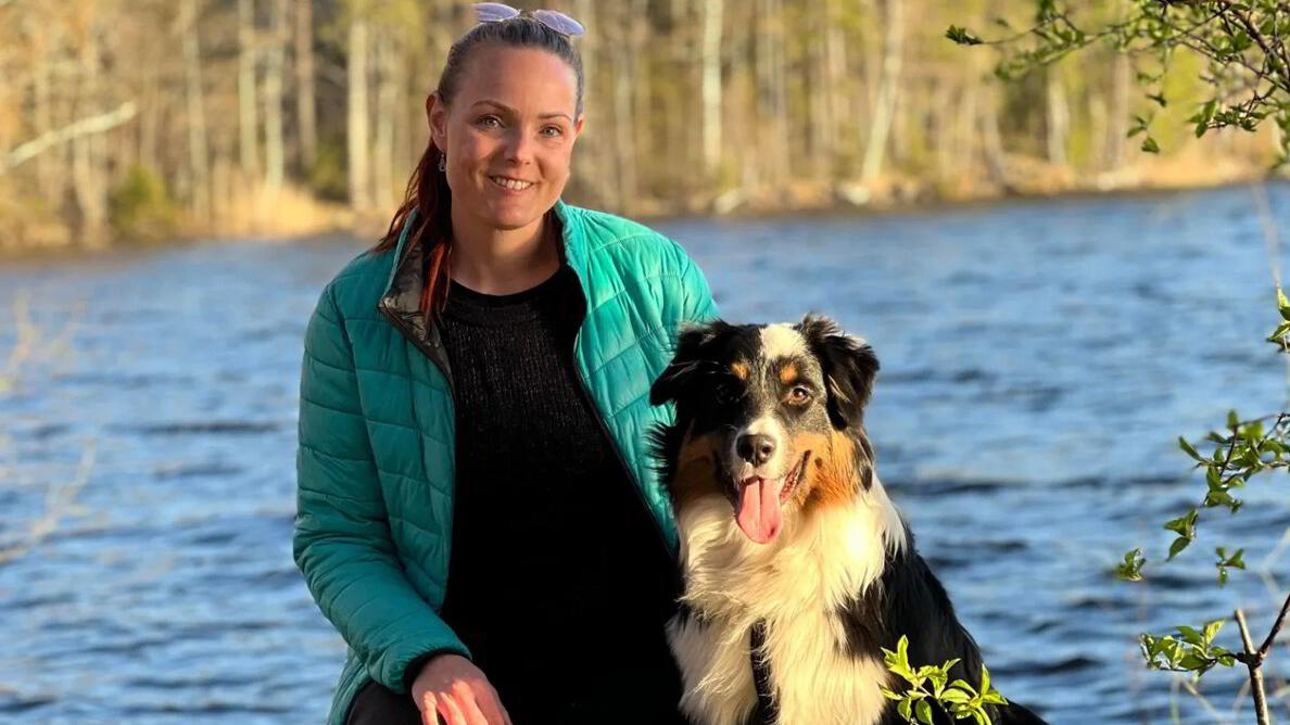 Images Personligt Hundfokus