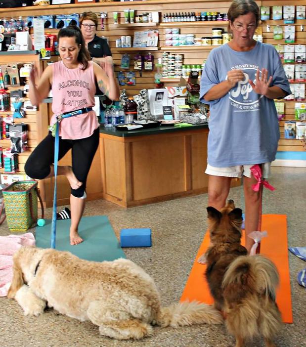 Images Paws On the Avenue