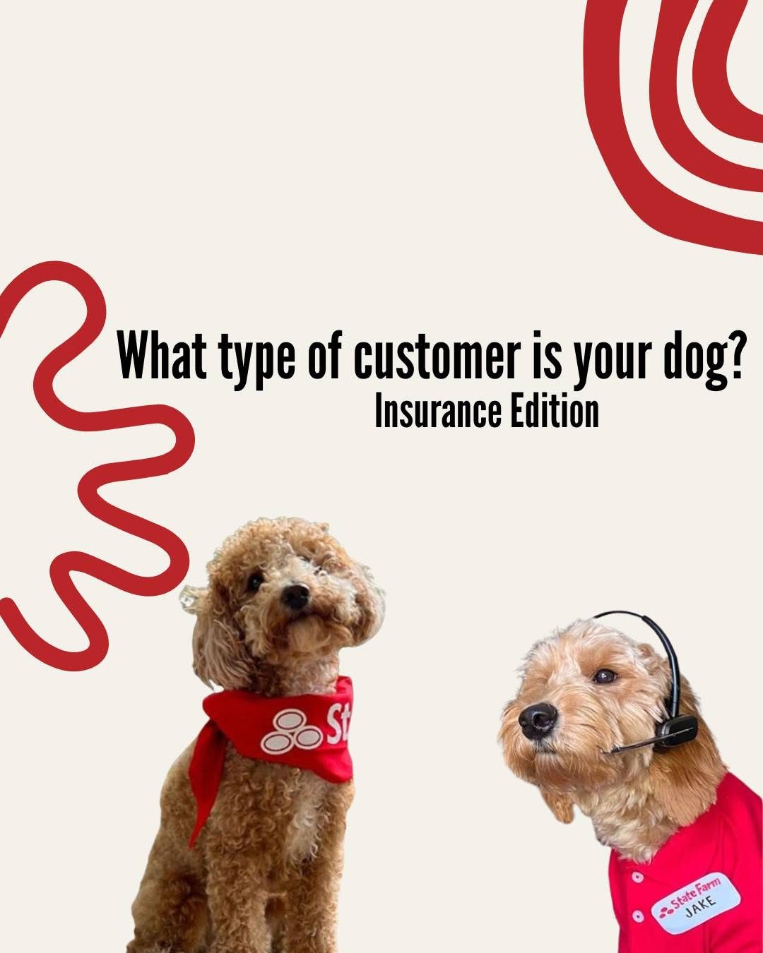 Our dogs have VERY different personalities, so naturally, they have different insurance personalitie 