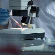 Images Doutor José Pires