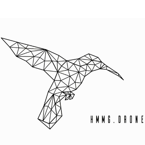HMMG DRONE Logo