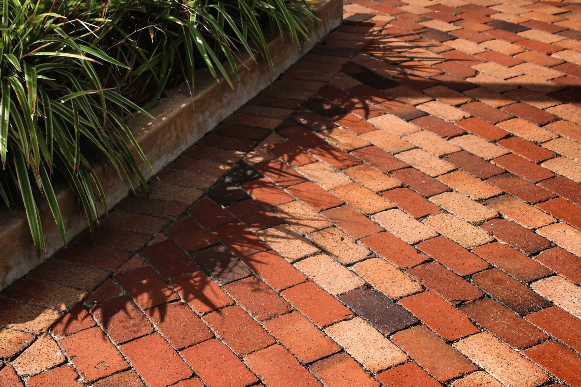 A close-up, diagonal shot of a red brick pathway lined with green grass and bathed in dappled sunlight, casting long shadows.