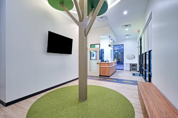 Images kiDDS Blvd Pediatric Dentistry