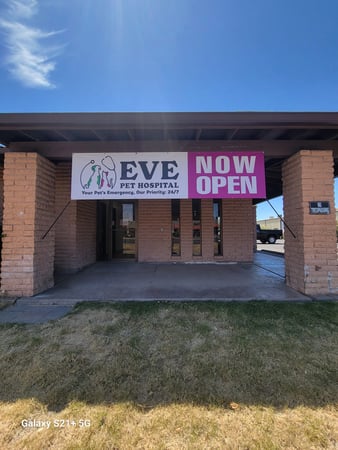 Images EVE Pet Hospital
