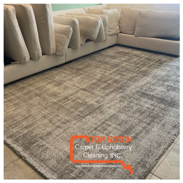 Images Top Notch Carpet And Upholstery Cleaning Inc.