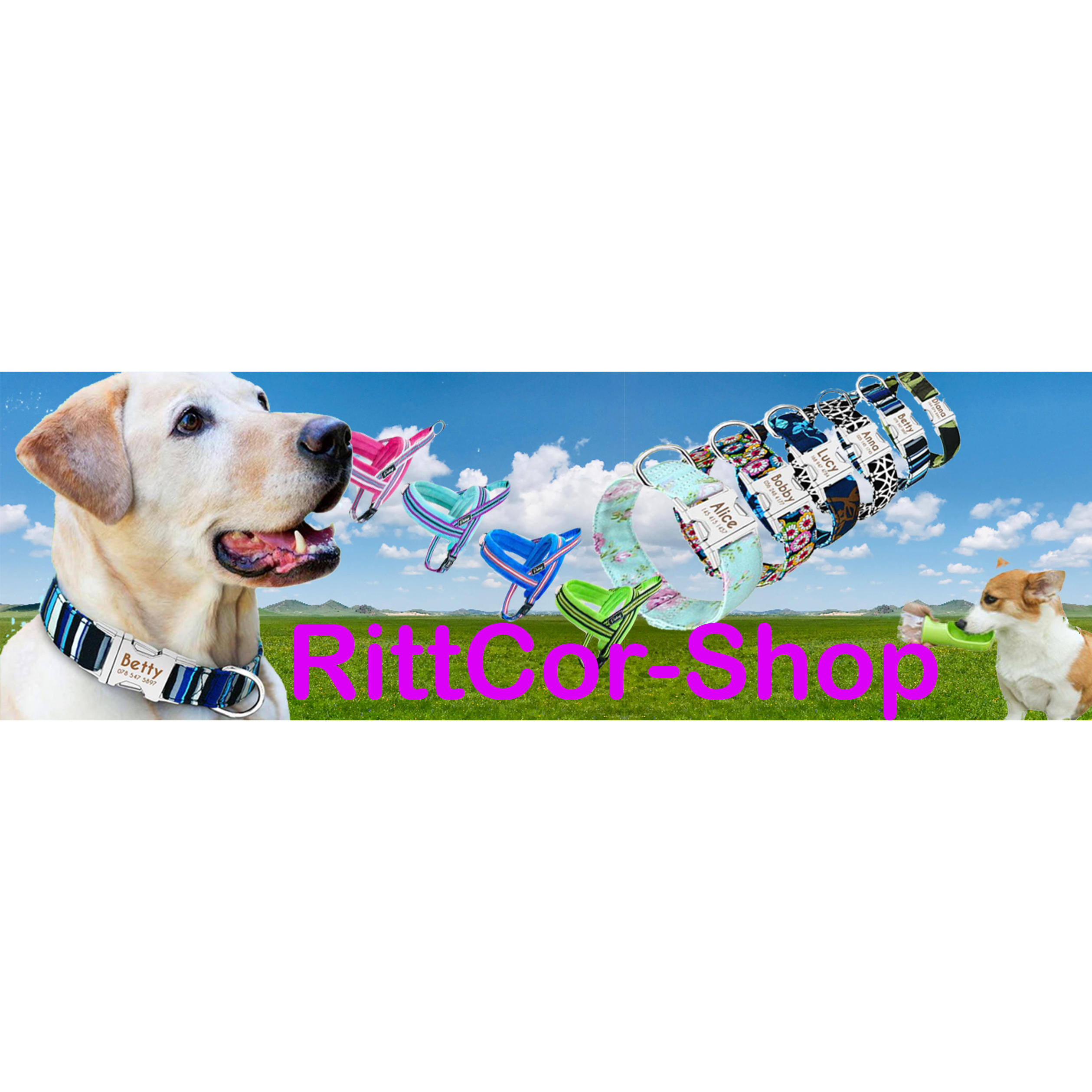 Logo RittCor-Shop
